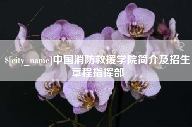 张家口中国消防救援学院简介及招生章程指挥部
