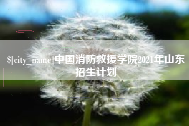 张家口中国消防救援学院2021年山东招生计划
