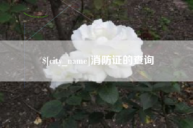 张家口消防证的查询