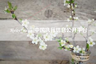 张家口中国执行信息公开平台