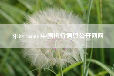 张家口中国执行信息公开网网