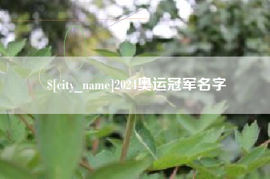 张家口2024奥运冠军名字