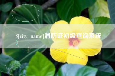 张家口消防证初级查询系统