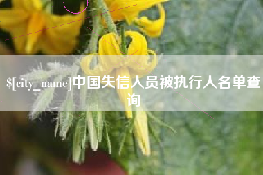 张家口中国失信人员被执行人名单查询