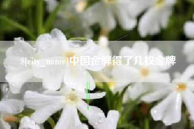 张家口中国金牌得了几枚金牌