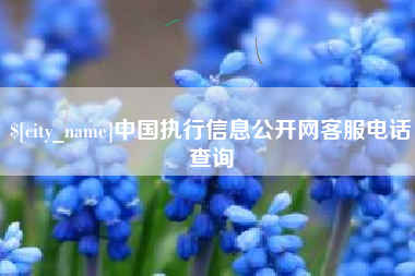 张家口中国执行信息公开网客服电话查询