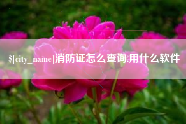 张家口消防证怎么查询,用什么软件