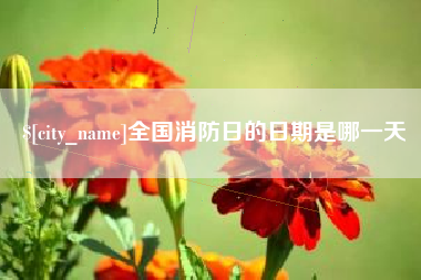 张家口全国消防日的日期是哪一天