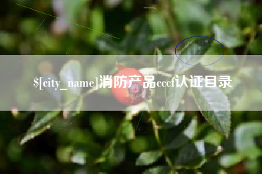 张家口消防产品cccf认证目录