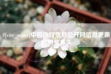 张家口中国执行信息公开网信息更新时间是多久