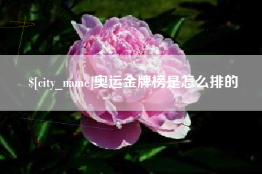 张家口奥运金牌榜是怎么排的