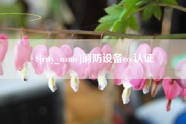张家口消防设备ccc认证