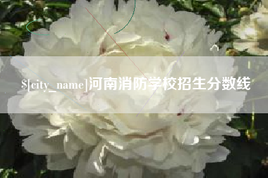 张家口河南消防学校招生分数线