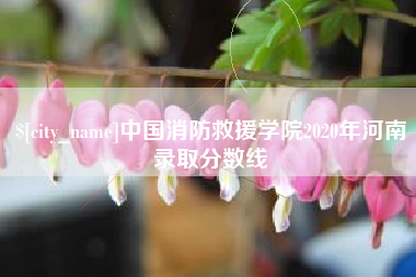 张家口中国消防救援学院2020年河南录取分数线