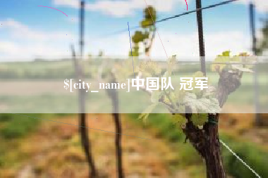 张家口中国队 冠军