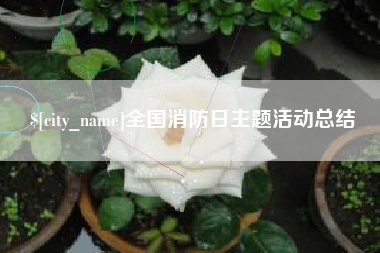 张家口全国消防日主题活动总结
