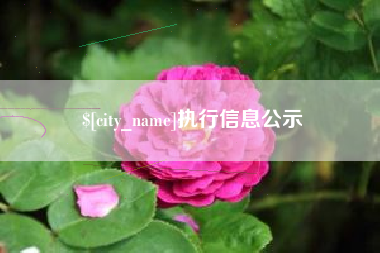 张家口执行信息公示