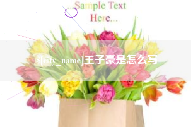 张家口王子豪是怎么写