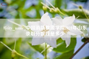 张家口中国消防救援学院2021年山东录取分数线是多少