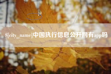 张家口中国执行信息公开网有app吗