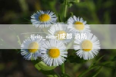 张家口成都 消防