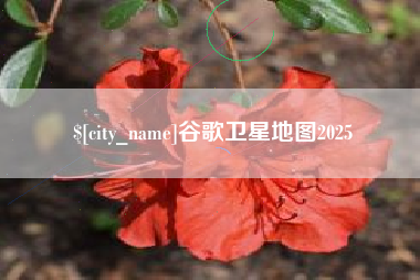 张家口谷歌卫星地图2025