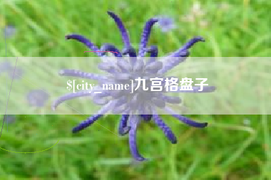 张家口九宫格盘子