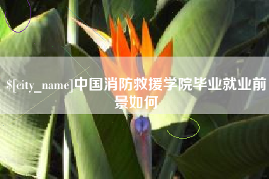 张家口中国消防救援学院毕业就业前景如何