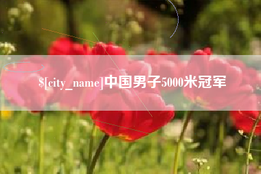 张家口中国男子5000米冠军