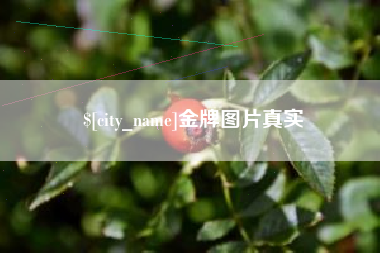 张家口金牌图片真实