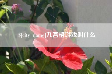 张家口九宫格游戏叫什么