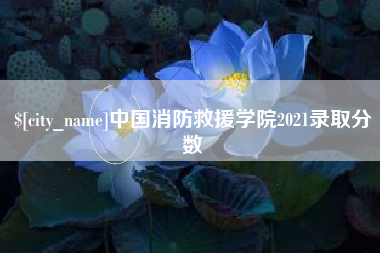 张家口中国消防救援学院2021录取分数