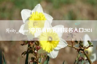 张家口中国消防官网报名入口2024