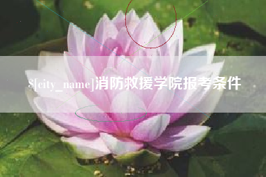 张家口消防救援学院报考条件