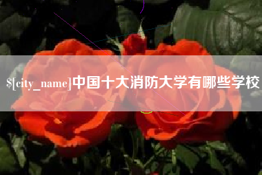 张家口中国十大消防大学有哪些学校