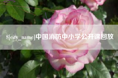 张家口中国消防中小学公开课回放