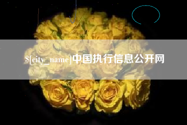 张家口中国执行信息公开网