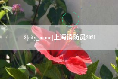 张家口上海消防员2021