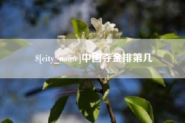 张家口中国夺金排第几