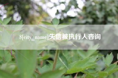 张家口失信被执行人杳询