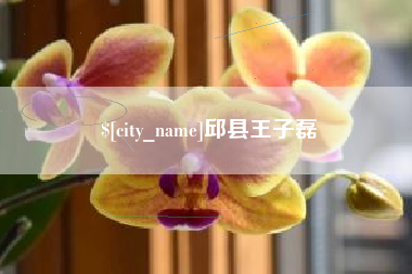 张家口邱县王子磊