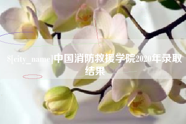张家口中国消防救援学院2020年录取结果