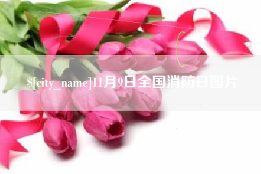 张家口11月9日全国消防日图片