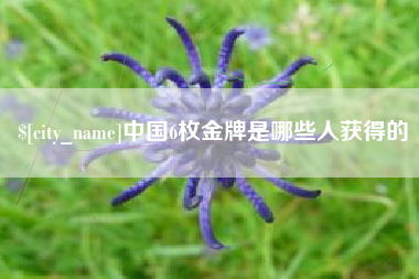 张家口中国6枚金牌是哪些人获得的