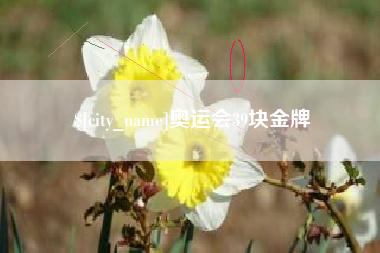 张家口奥运会39块金牌