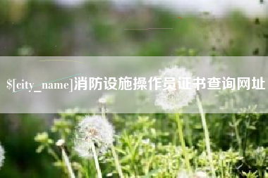 张家口消防设施操作员证书查询网址