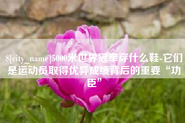 张家口5000米世界冠军穿什么鞋-它们是运动员取得优异成绩背后的重要“功臣”
