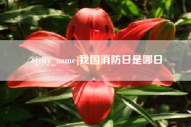 张家口我国消防日是哪日