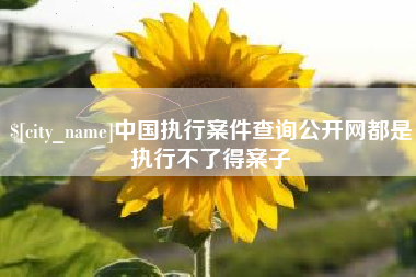 张家口中国执行案件查询公开网都是执行不了得案子