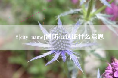 张家口消防ccc认证什么意思